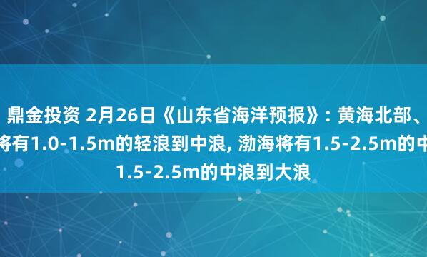 鼎金投资 2月26日《山东省海洋预报》: 黄海北部、黄海中部将有1.0-1.5m的轻浪到中浪, 渤海将有1.5-2.5m的中浪到大浪